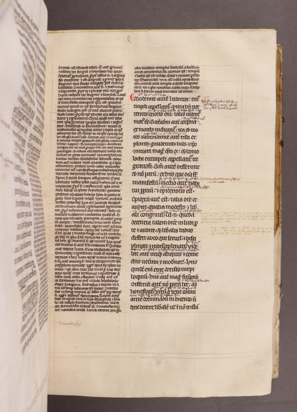 Folio 81 recto